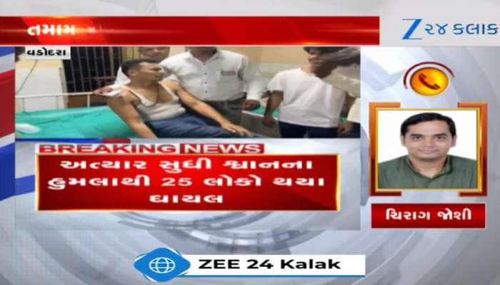 VIDEO: વડોદરામાં રખડતા શ્વાનનો આતંક વધ્યો, 10 લોકો બન્યા હુમલાનો શિકાર