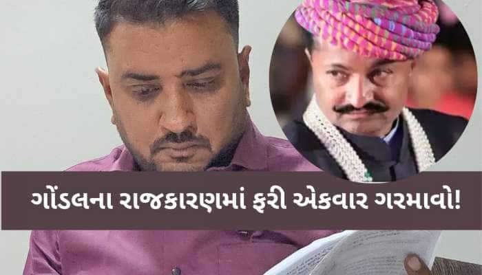 જયરાજસિંહના રાજકીય કાવતરાં? વિશ્વ હિન્દુ પરિષદના પ્રમુખનો મોટો આક્ષેપ, એમના દબાણથી..
