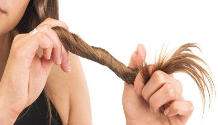 Hair Care: ચોટી થઈ ગઈ છે એકદમ પાતળી? તો નાળિયેર તેલમાં આ 3 વસ્તુ મિક્સ કરી લગાડો