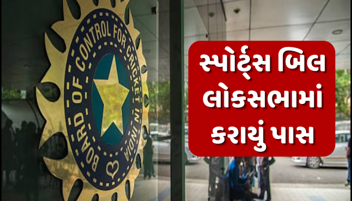 નેશનલ સ્પોર્ટ્સ બિલ લોકસભામાં કરાયું પાસ, BCCI પણ તેના કાર્યક્ષેત્રમાં; જાણો શું થશે અસર 