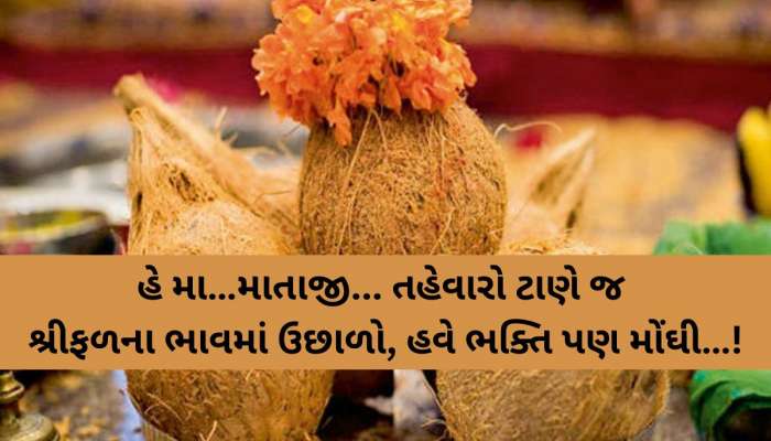 હવે પૂજા કરવામાં પણ મોંઘવારી નડશે! શ્રીફળના ભાવમાં તોતિંગ વધારો, મહિને પડશે આટલાનો ફટકો!