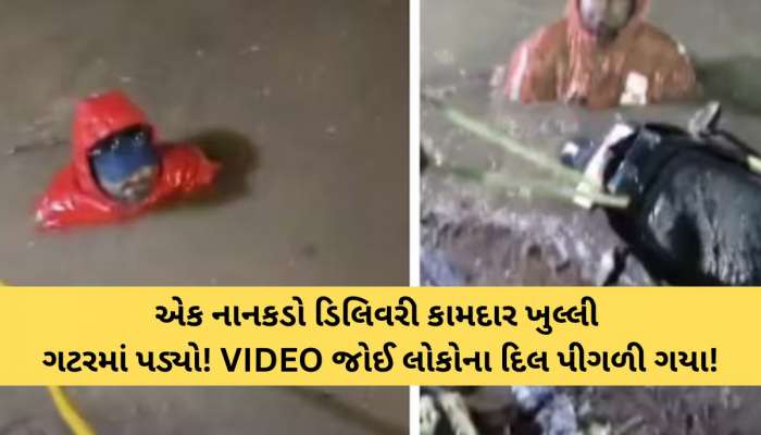 હૈદરાબાદના શેરીઓમાં એક એવી ઘટના બની કે જે દરેકના દિલને હચમચાવી ગઈ! VIDEO વાયરલ