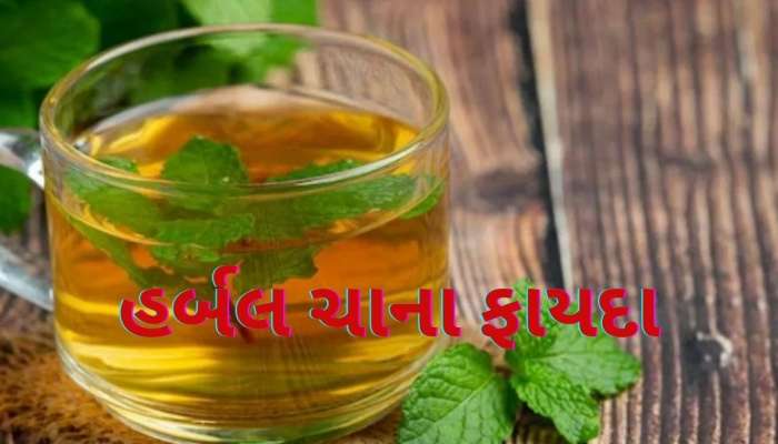 ફક્ત 5 રૂપિયામાં તૈયાર થશે આ હર્બલ ચા, સવારે ખાલી પેટ પીવાથી ગેસ અને કબજિયાત દૂર થશે