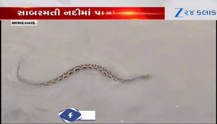 VIDEO: સાબરમતી નદીમાં પુષ્કળ પાણીની આવક! હોડી તણાઈને આવી, સાપ નજરે પડ્યા