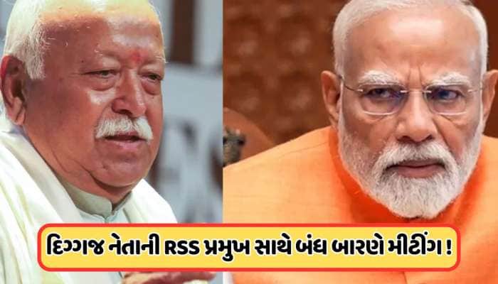 આ ભાજપ નેતાની મોહન ભાગવત સાથે ખાનગી બેઠક, અધ્યક્ષ પદની રેસમાં સૌથી આગળ આવ્યું નામ?