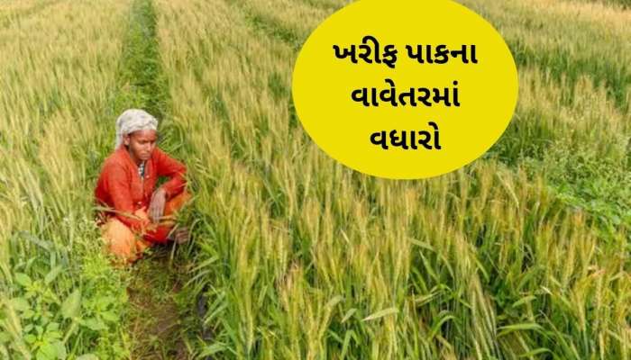 રાજ્યમાં સારા વરસાદના પરિણામે ખેડૂતો દ્વારા 81 લાખ હેક્ટરમાં ખરીફ પાકનું વાવેતર