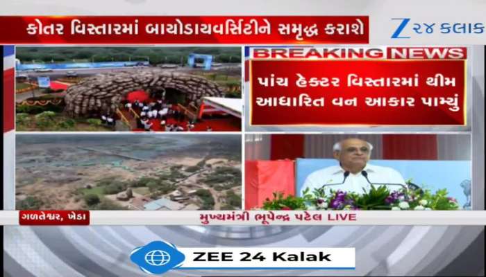 ગળતેશ્વરમાં યોજાયો 76મો વન મહોત્સવ! CMની કાર્યક્રમમાં હાજરી, સાંસ્કૃતિક વનની ભેટ