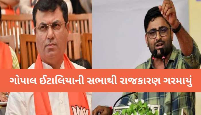 “ભાજપ પણ 2027માં 156 વાળી રિપીટ કરશે”, ઈટાલિયાની 'વિસાવદરવાળી'ના દાવા સામે ઉદય કાનગડ