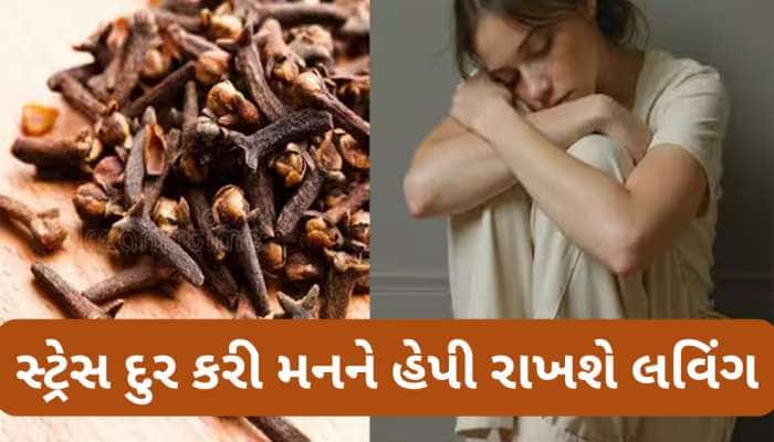 Clove Benefits: નાનકડું લવિંગ દુર કરી શકે છે ડિપ્રેશન, દવાઓ પણ આ નુસખા સામે ફેલ