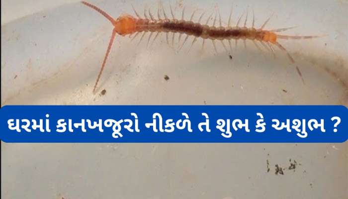 Kankhajura: જ્યોતિષ શાસ્ત્ર અનુસાર ઘરમાં કાનખજૂરો વારંવાર નીકળે તેનો અર્થ શું થાય ? 