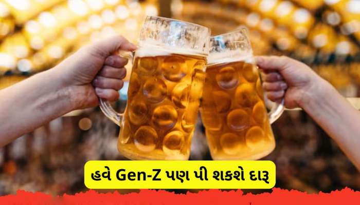 આ રાજ્યમાં Gen-Z છૂટથી બીયર પી શકશે, બીયર પીવાનો આવી રહ્યો છે નવો નિયમ