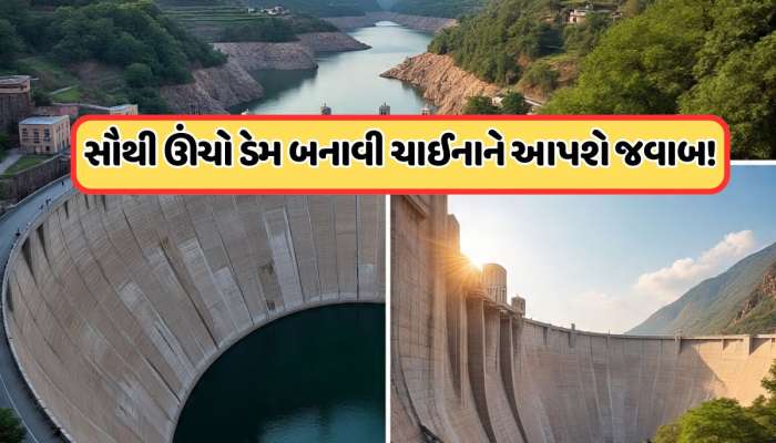 જોતું રહી જશે ચીન, 195 કિમી લાંબી નદી પર ભારત બનાવી રહ્યું છે સૌથી ઊંચો ડેમ
