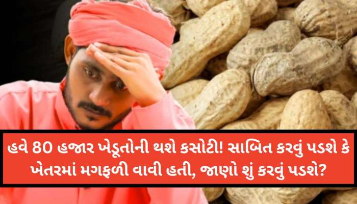સેટેલાઇટ ઇમેજમાં પાક ન દેખાતા ટેકાના ભાવે મગફળીનુ રજિસ્ટ્રેશન રદ! અનેક ખેડૂતો લાલઘૂમ