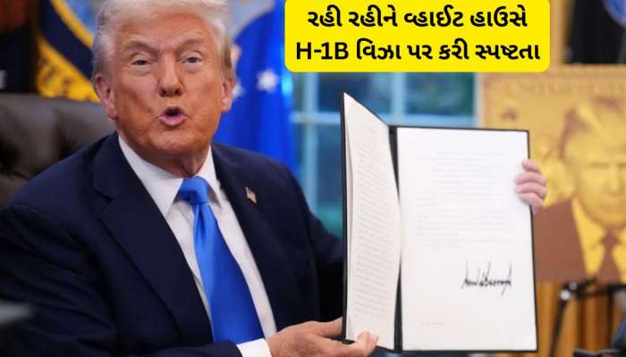 તબેલામાંથી ઘોડા છૂટ્યા બાદ વ્હાઈટ હાઉસે H-1B વિઝા પર કરી સ્પષ્ટતા, આ વન ટાઈમ ફી છે!