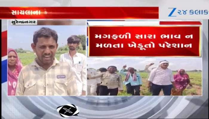 ખેડૂતો ભારે ચિંતામાં,ટેકાના ભાવે મગફળીની ખરીદી માટે રજિસ્ટ્રેશન મર્યાદા વધારાની માંગ