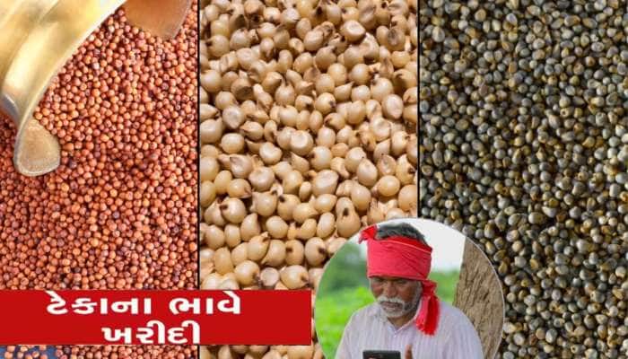 સરકાર એકસાથે 5 ધાન્યોની ટેકાના ભાવે ખરીદી કરશે, ભાવનું લિસ્ટ પણ જાહેર કર્યું 