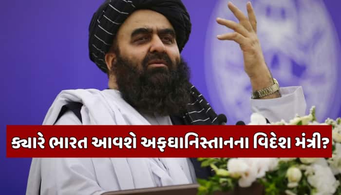 અફઘાનિસ્તાનના વિદેશ મંત્રી આવશે ભારત, UNSCમાંથી મળી મંજૂરી; પાકિસ્તાનને લાગ્યો ઝટકો