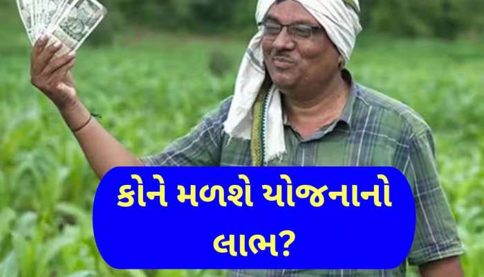 ગુજરાત સરકારનો મહત્વનો નિર્ણય : એશિયાઈ સિંહ અને ખેડૂતોના કામની યોજનાની સહાયમાં કરાયો