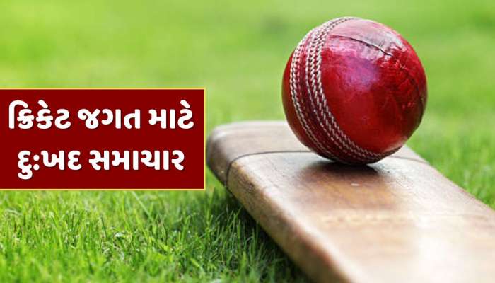 ક્રિકેટ જગત માટે દુ:ખદ સમાચાર...વર્લ્ડ કપ વિનર ખેલાડીએ અચાનક દુનિયાને કહ્યું અલવિદા 