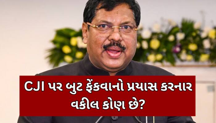 ભગવાન પર CJI ગવઈએ એવી તો શું ટિપ્પણી કરી કે, વકીલે બુટ ફેંકવાનો કર્યો પ્રયાસ; જાણો