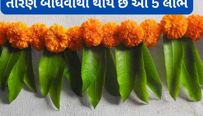 Vastu Tips: મુખ્ય દરવાજા પર આંબાના પાનનું તોરણ બાંધવા થતા 5 લાભ