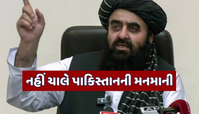 અફઘાનિસ્તાનના વિદેશ મંત્રીએ આપી પાકિસ્તાનને ચેતવણી, દિલ્હીથી અમેરિકાનો આપ્યો સંદેશ