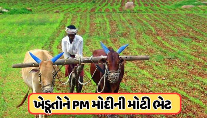 PMDDKY: ખેડૂતોને ₹35,440 કરોડની ભેટ, કેન્દ્ર સરકારની મોટી જાહેરાત
