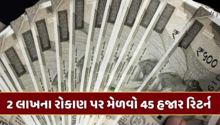 શાનદાર ઓફર ! રૂપિયા 2 લાખનું કરો રોકાણ અને મેળવો 45 હજાર ફિક્સ રિટર્ન