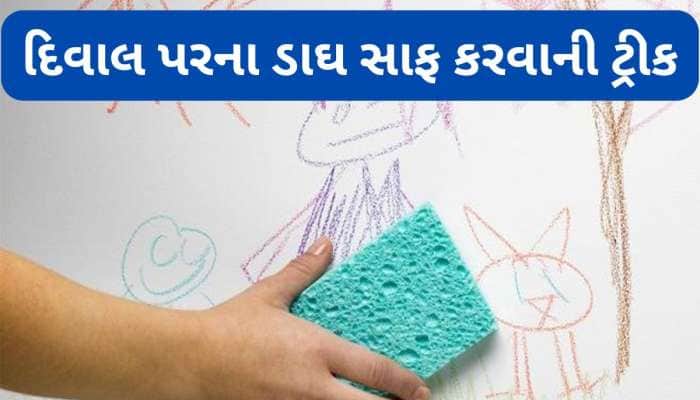 દિવાલ પર પડેલા દરેક પ્રકારના ડાઘ એકવારમાં થશે સાફ, આ વસ્તુઓથી ચમકી જશે ઘરની દિવાલો