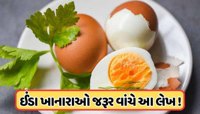 ઈંડા ખાનારાઓ સાવધાન !  'નબળા હૃદય' વાળા લોકો જરૂર વાંચે