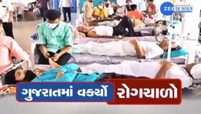 ગુજરાતના આ શહેરમાં જીવલેણ રોગોનો હાહાકાર! એક જ દિવસમાં બે મહિલાઓના મોત, તંત્ર દોડતું