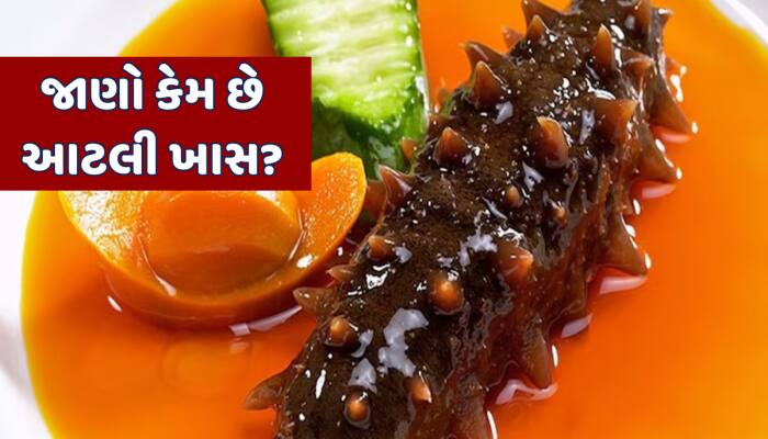 હીરાથી પણ મોંઘી વેચાય છે ભારતની આ કાકડી, એક કિલોની કિંમત સાંભળીને ઉડી જશે હોશ
