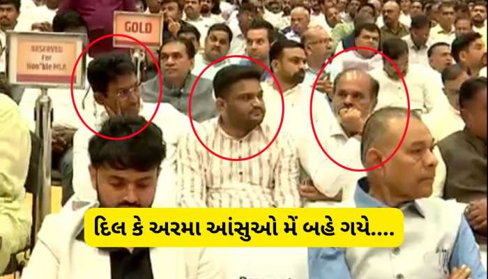 આંદોલનના ચહેરા હાર્દિક અને અલ્પેશ કેમ કપાયા? સીજે ચાવડાની પણ મનની મનમાં રહી ગઈ!