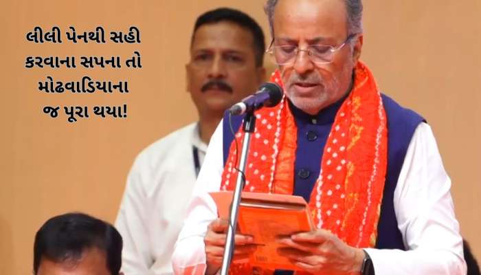 મોઢવાડિયાએ સત્તાનો સ્વાદ ચાખ્યો, કોંગ્રેસમા અધૂરુ રહેલુ સપનુ ભાજપમા આવી પૂરું કર્યું