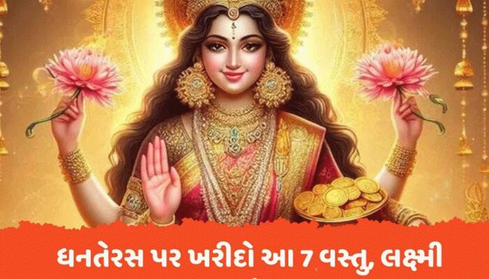 ધનતેરસ પર નથી ખરીદી શકતા સોના-ચાંદી? આ 7 વસ્તુ ખરીદો, માતા લક્ષ્મીની અઢળક કૃપા થશે