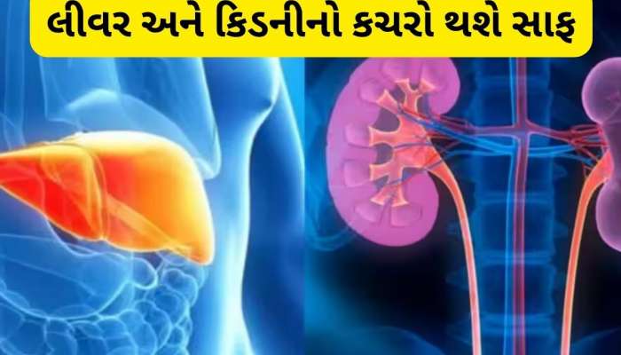 લીવર અને કિડનીને કુદરતી રીતે ડિટોક્સિફાય કરવા કરો આ કામ, પેટમાં જામેલી ગંદકી થશે સાફ