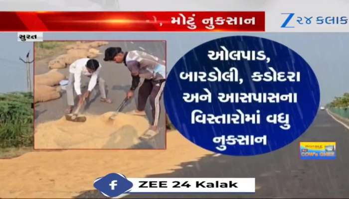 માવઠાએ પથારી ફેરવી, ખેડૂતોના ડાંગરના પાકની સાથે સપના પણ પલળ્યા, રસ્તા પર સૂકવવી પડી