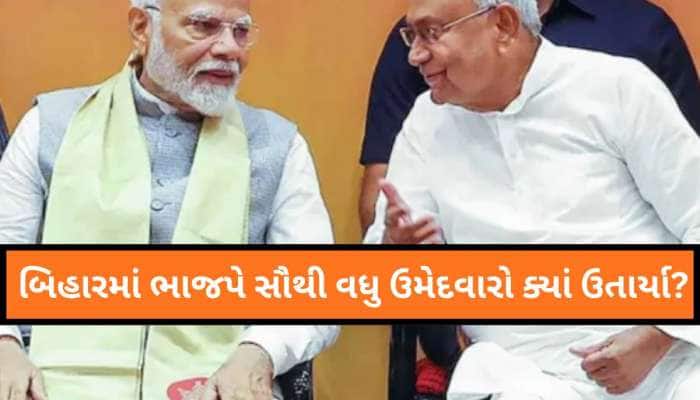 બિહારમાં 101 બેઠકો પર ચૂંટણી લડી રહી છે ભાજપ, આ 6 જિલ્લામાં ના ઉતાર્યો એક પણ ઉમેદવાર