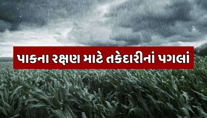 અગમચેતી એ જ સલામતી, વરસાદની આગાહીને ધ્યાને રાખીને ખેડૂતો માટે માર્ગદર્શિકા જાહેર