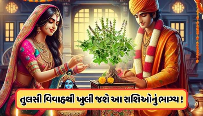 તુલસી વિવાહના દિવસે થશે શુક્રનું ગોચર, આ 3 રાશિના પર પ્રસન્ન થશે દેવી લક્ષ્મી!