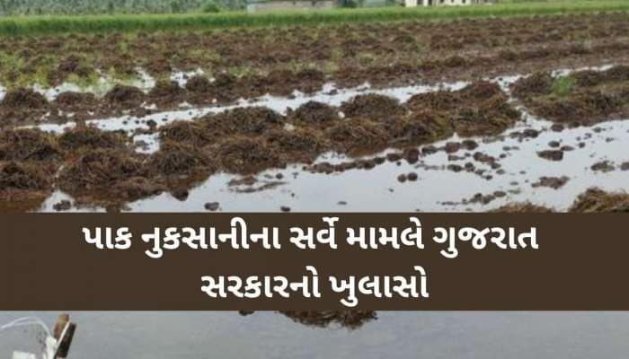 પાક નુકસાનીના સર્વે મામલે ગુજરાત સરકારનો સૌથી મોટો ખુલાસો, જાણો કૃષિમંત્રીનું નિવેદન