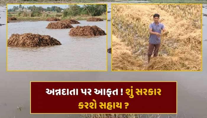 અન્નદાતા પર આફત ! માવઠાના કારણે ખેડૂતોના પાકને મોટું નુકશાન... શું સરકાર આપશે વળતર ?