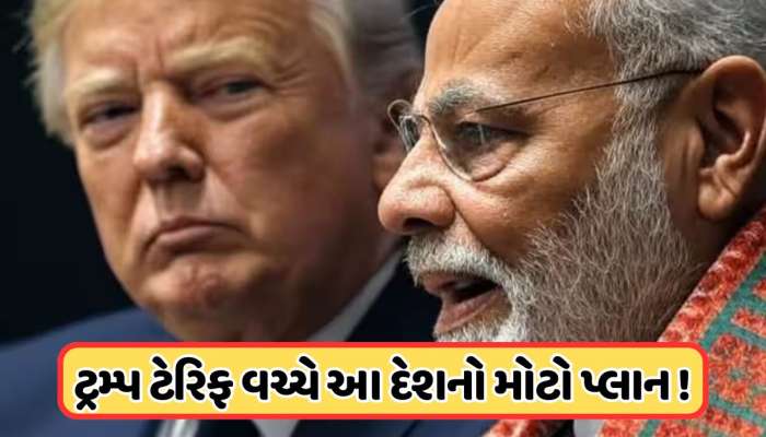 ટ્રમ્પને જવાબ આપવા વધુ એક દેશ ભારત સાથે કરશે ટ્રેડ કરાર! કહ્યું: અમે અમેરિકા પર