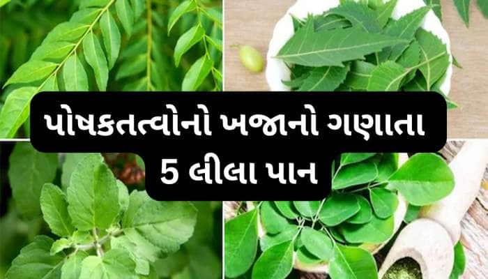 વિટામિન અને મિનરલ્સથી ભરપુર હોય છે આ લીલા પાન, જાણો કઈ બીમારીમાં કયું પાન ખાવું ?
