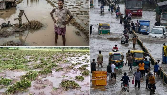 ગુજરાતમાં વરસાદે વેર્યો વિનાશ ! છેલ્લા 5 વર્ષમાં 80000000000નું નુકસાન