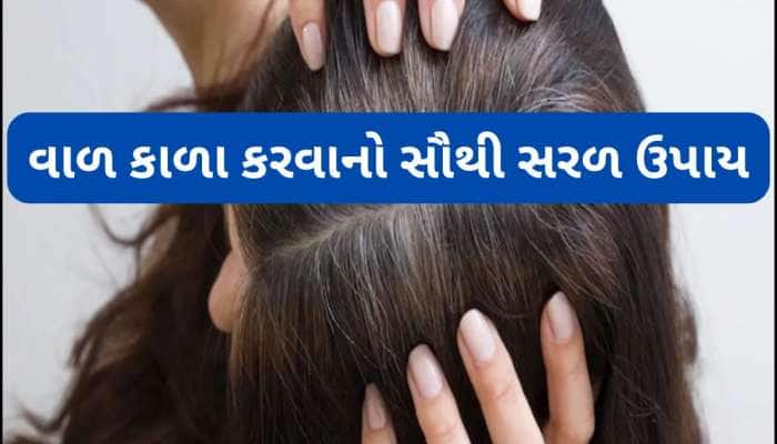 White Hair:તલના તેલમાં આ વસ્તુ મિક્સ કરી વાળમાં લગાડો, કાળા થવા લાગશે સફેદ થયેલા વાળ