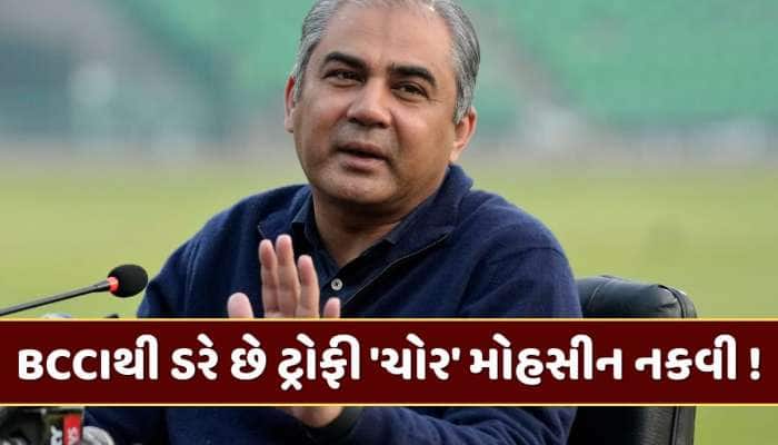 BCCIથી ડરે છે ટ્રોફી 'ચોર' મોહસીન નકવી ! ICCની બેઠકમાં નહીં આપે હાજરી ?