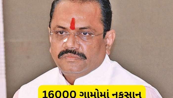 42 લાખ હેક્ટર જમીનમાં પાકને નુકસાન થયું, રાજ્ય સરકાર આપશે સહાયઃ જીતુ વાઘાણી