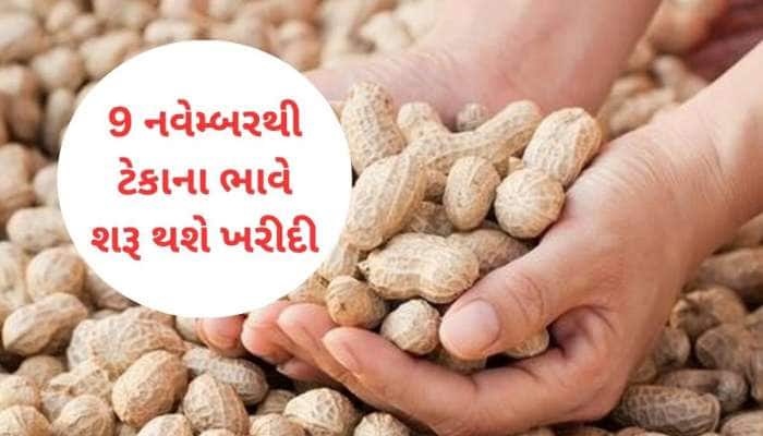 મગફળી, અડદ, મગ અને સોયાબીનની ટેકાના ભાવે થશે ખરીદી, જાણો કેટલો મળશે ભાવ