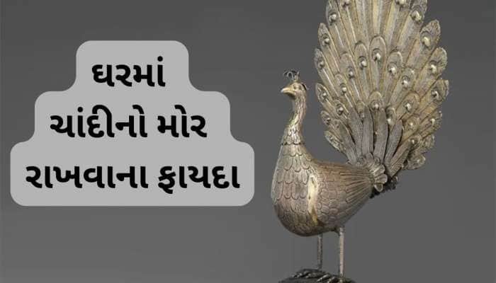 વાસ્તુ શાસ્ત્રમાં ચાંદીના મોરનું વિશેષ મહત્વ છે, યોગ્ય દિશામાં રાખો તો મળે અપાર સુખ